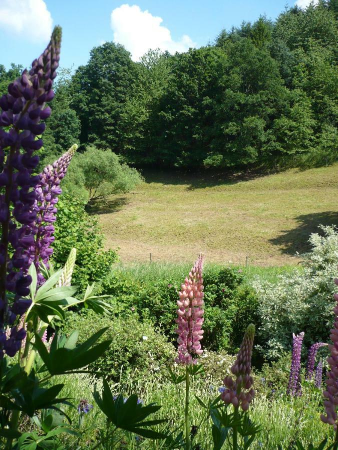 Ferienwohnungen Meindl Idar-Oberstein Eksteriør billede